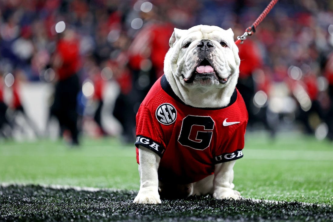 Jan 10, 2022; Indianapolis, IN, USA; The Georgia Bulldogs mascot Uga on the sideline during the first half in the 2022 CFP college football national championship game between the Alabama Crimson Tide and the Georgia Bulldogs at Lucas Oil Stadium. Mandatory Credit: Trevor Ruszkowski-USA TODAY Sports